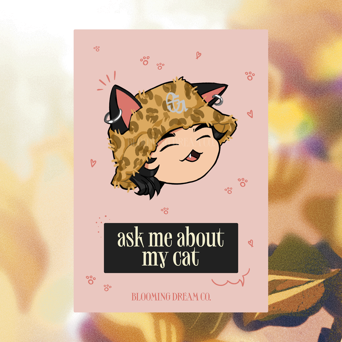 Min Meow Pin Set